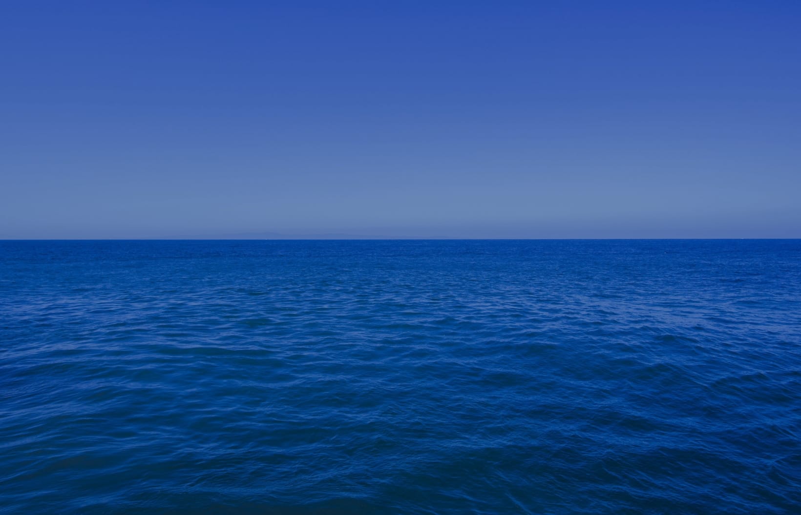 第8の海から生まれた牡蠣