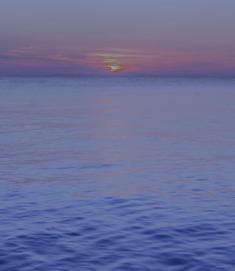 第8の海から生まれた牡蠣