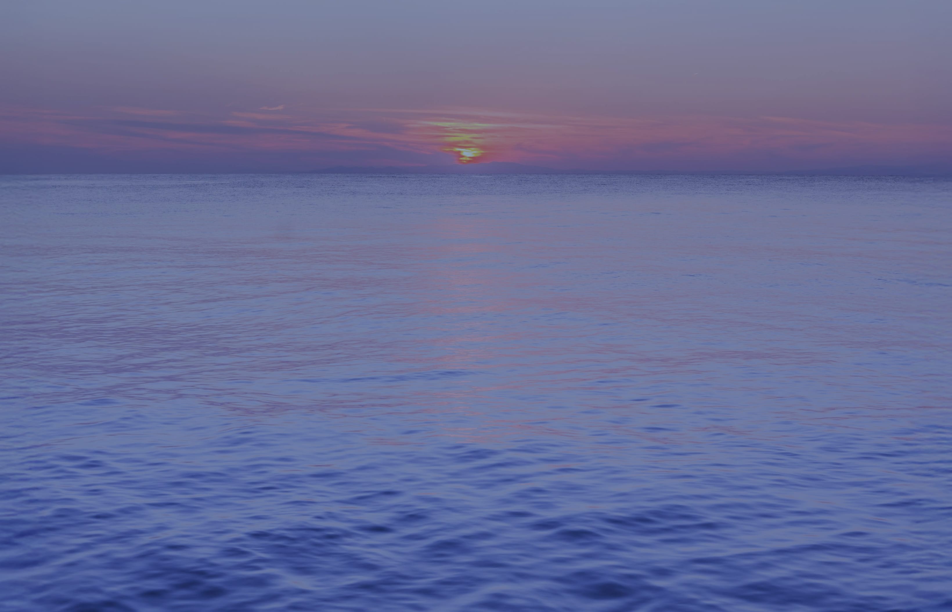 第8の海から生まれた牡蠣