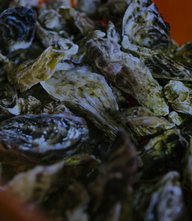 第8の海から生まれた牡蠣