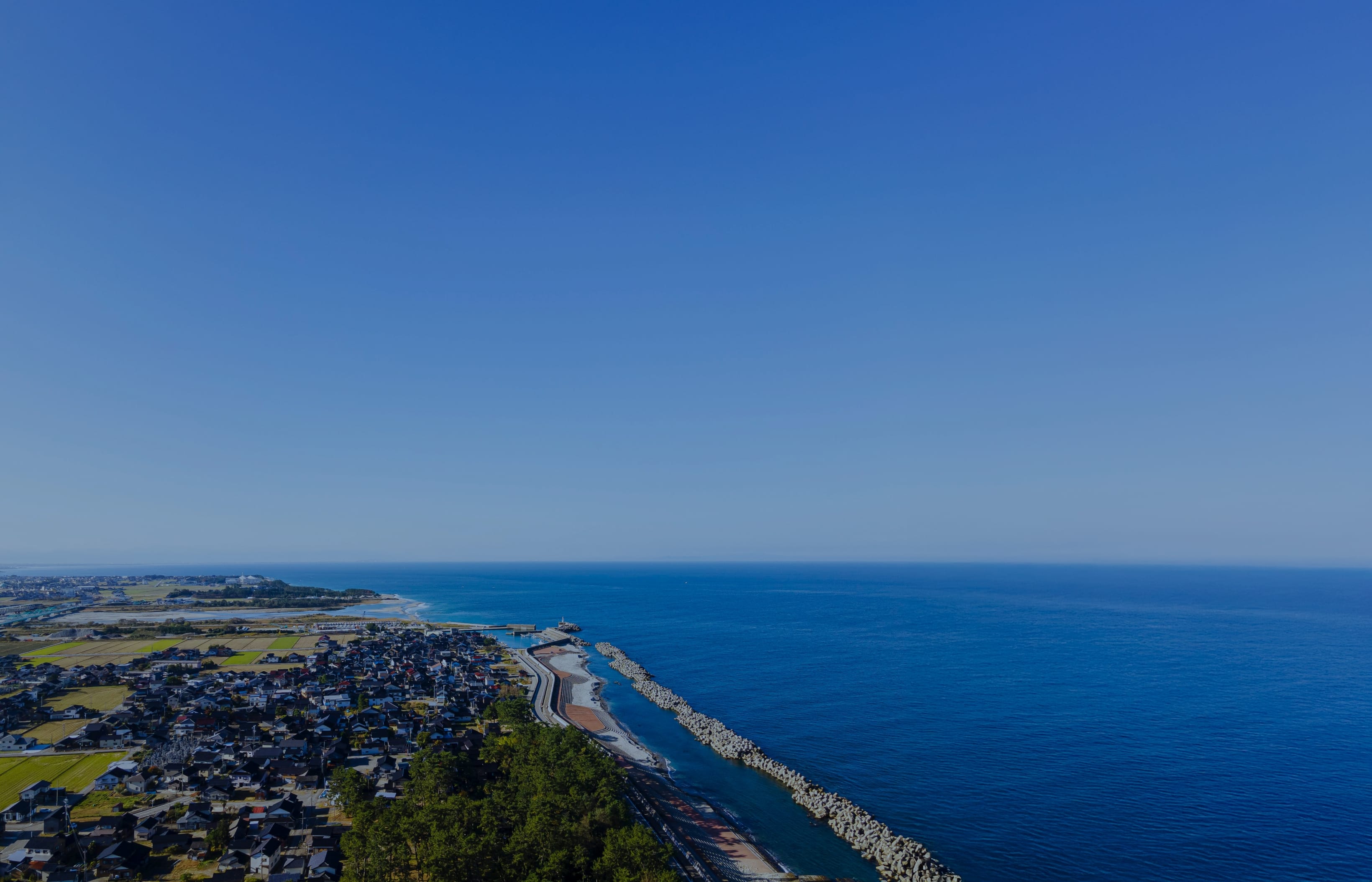 第8の海から生まれた牡蠣