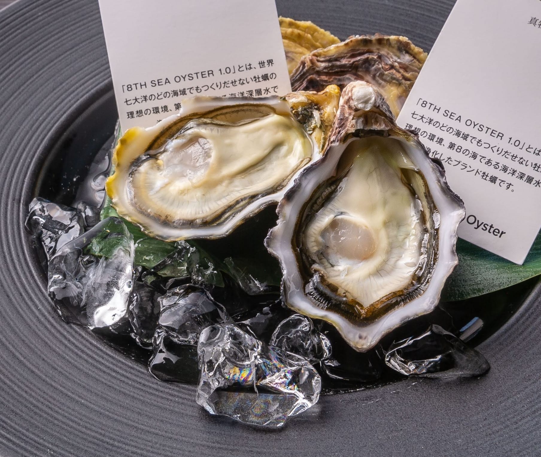 安全・安心で栄養価が高い生牡蠣8TH SEA OYSTERを、もっと身近に。自宅であじわう。