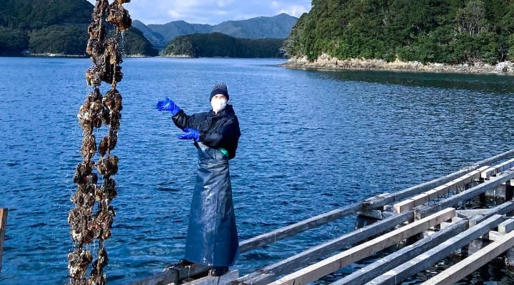 厳選された安全な採取海域で収穫