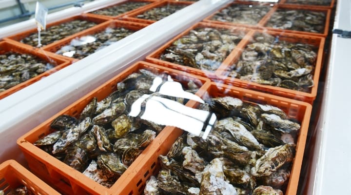 海洋深層水で清浄化する独自システム