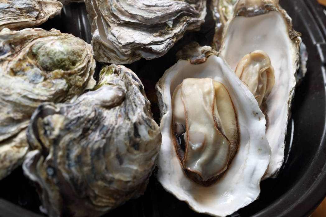 国の基準を超える自社検査基準の信頼性