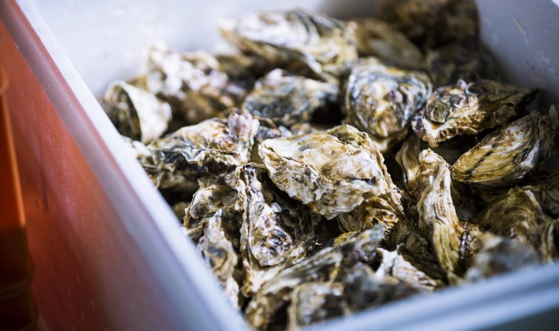 飲食店の皆様へ