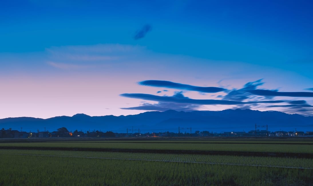 飲食店の皆様へ