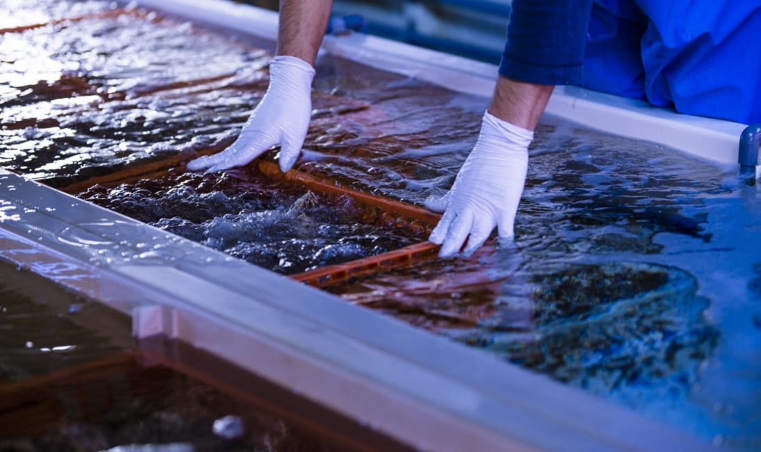 飲食店の皆様へ
