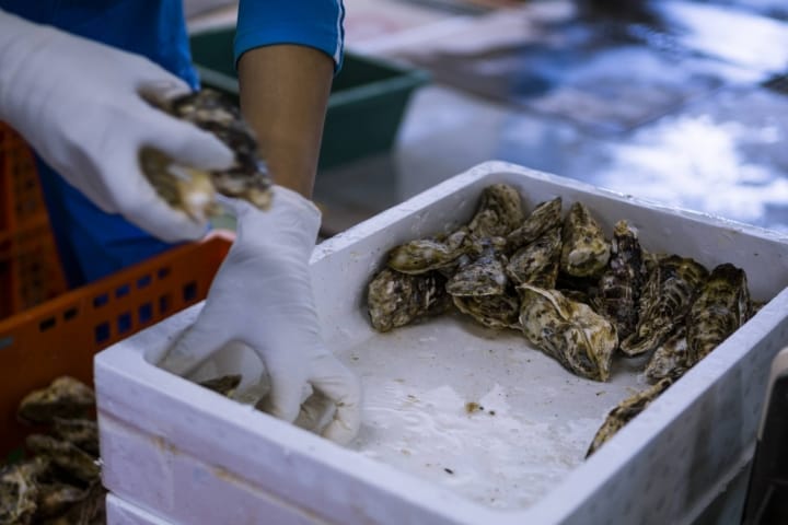 年間1,000万個の牡蠣出荷実績