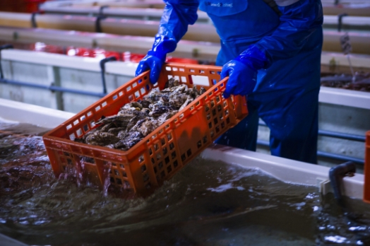 「8TH SEA OYSTER」を支えるメソッド