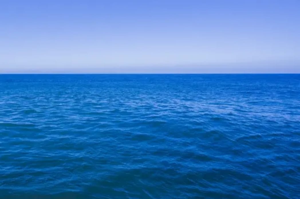 取り込む海水がキレイなら、牡蠣もキレイになれる。