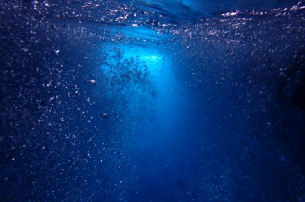 富山湾の水深約220mから牡蠣にとって心地いい海洋深層水を取水。