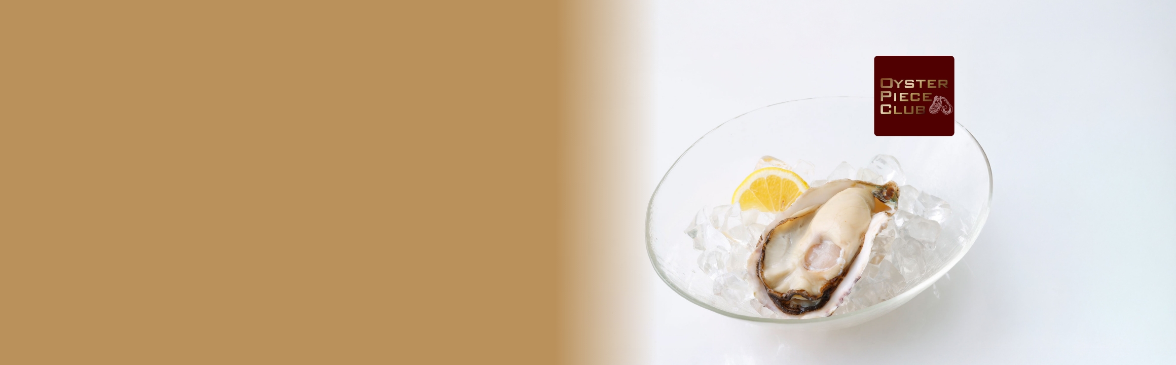 新規ご入会キャンペーン実施中