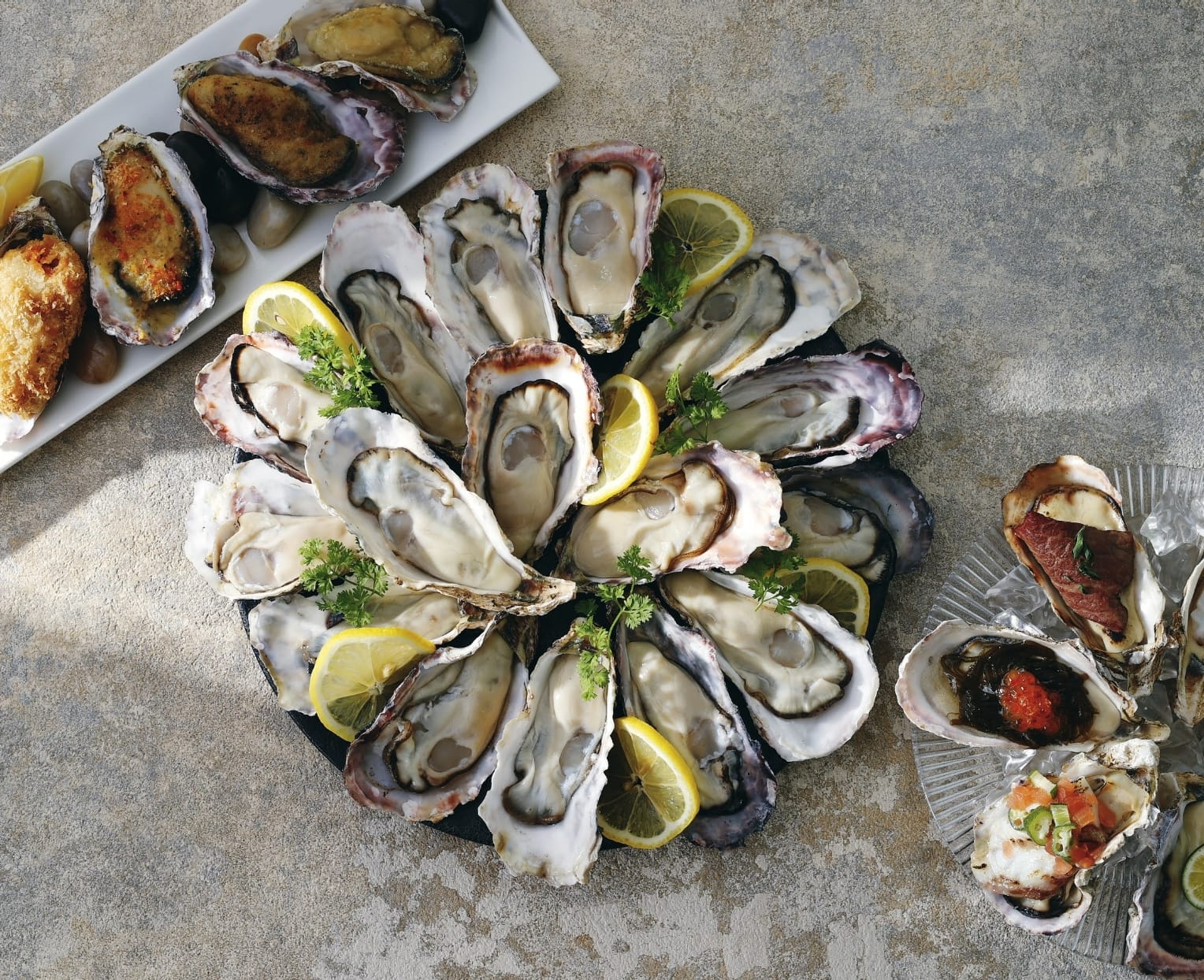 OPCアプリで、もっとお得に、もっと便利に