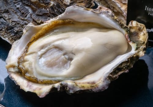 福浦産：真牡蠣