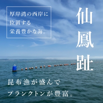 福浦産：真牡蠣