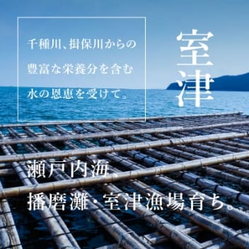 室津産・室津産3倍体：