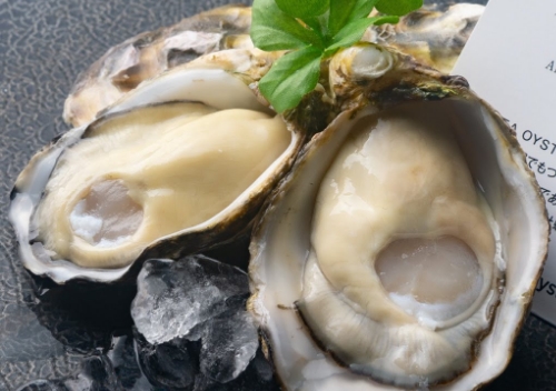 厳選された安全な採取海域で収穫