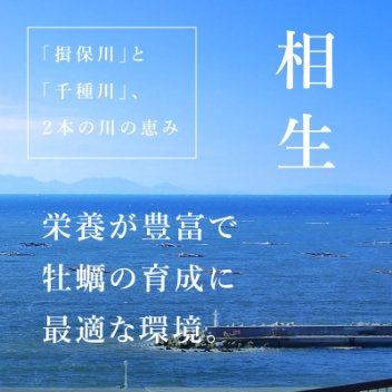 厳選された安全な採取海域で収穫