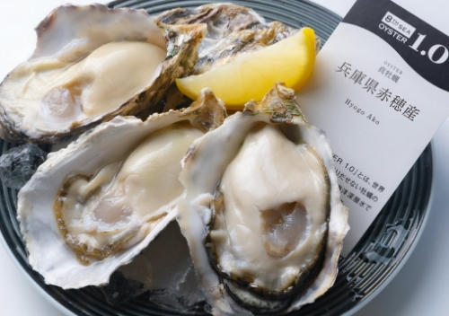 厳選された安全な採取海域で収穫