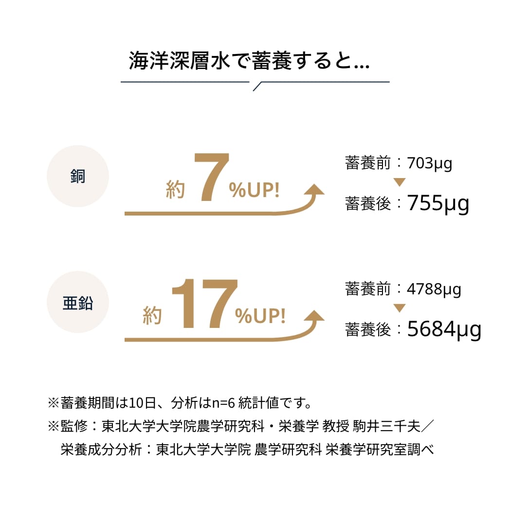 海洋深層水による浄化で栄養価UP！
