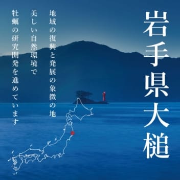 福浦産：真牡蠣