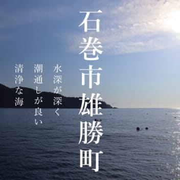 福浦産：真牡蠣