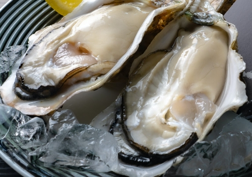 小長井：真牡蠣