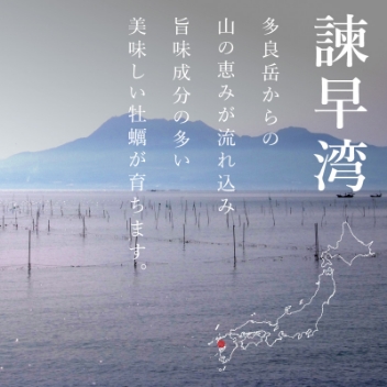 小長井：真牡蠣