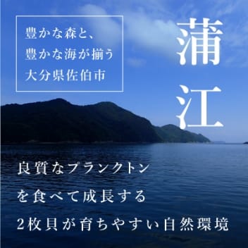福浦産：真牡蠣
