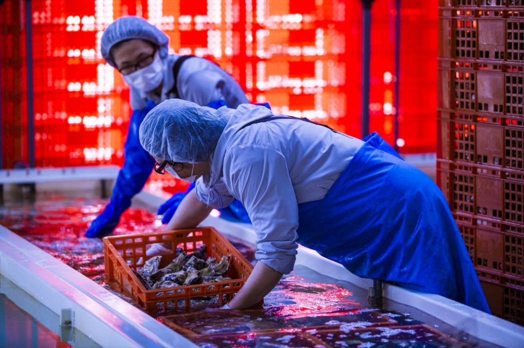 安全性と品質へのこだわりが私たちの強み