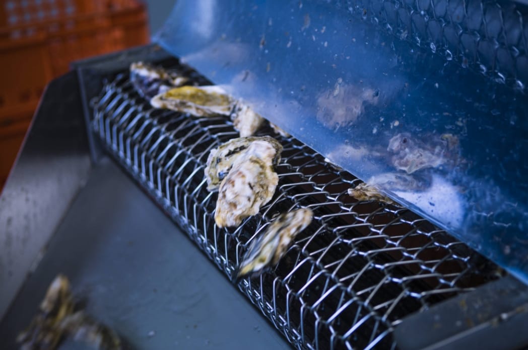 安定供給する卸売事業と地域への貢献