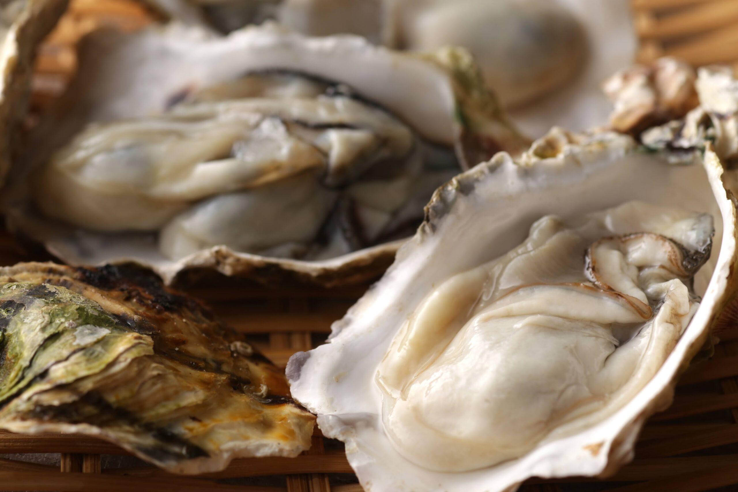 レカイエ オイスターバー　JR博多シティ店