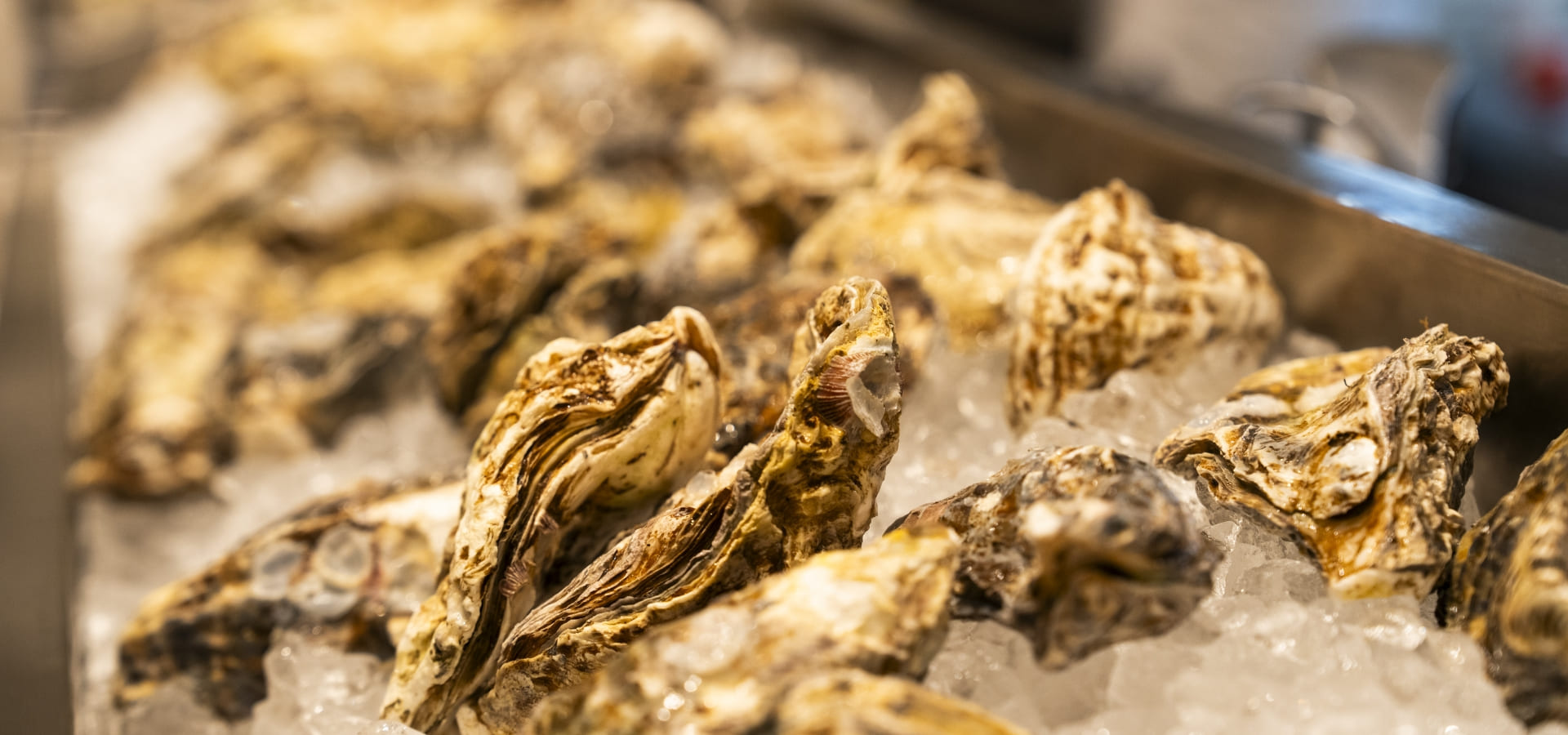 【店長候補】オイスターバー＆レストランGINZA SIX