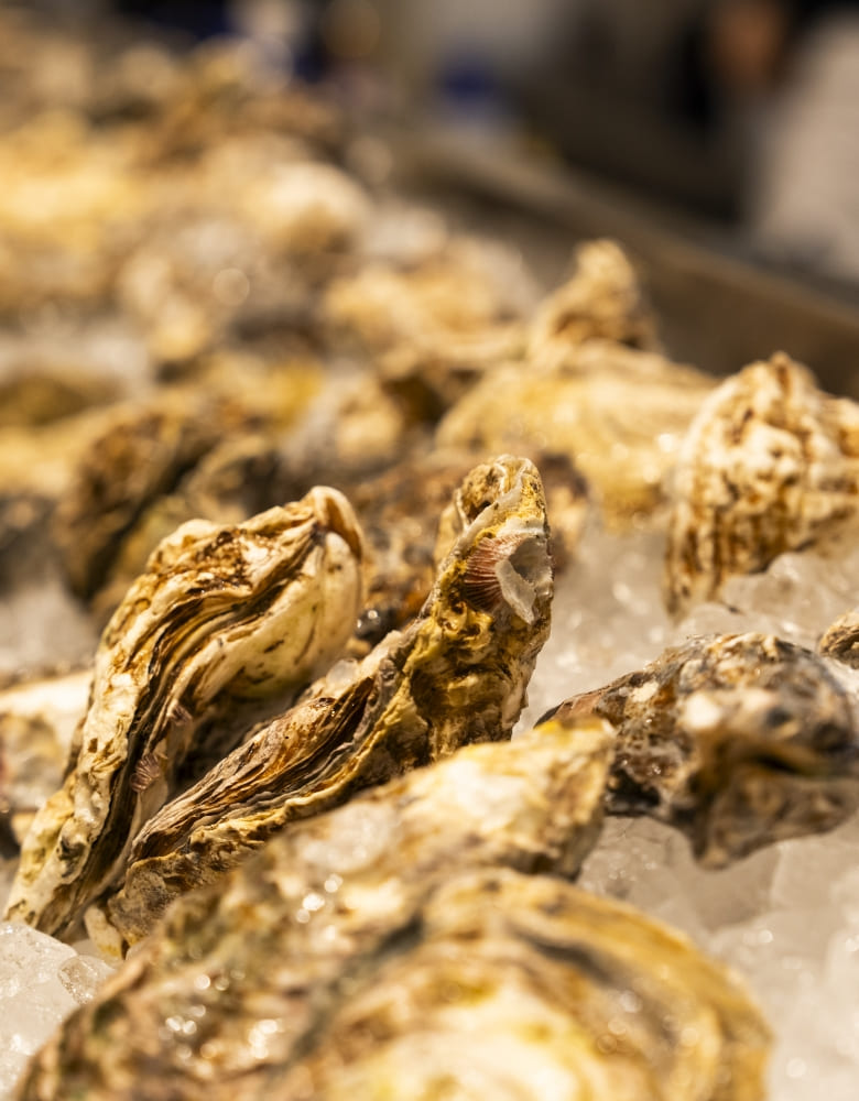 【料理長候補】オイスターレストラン 銀座シックス