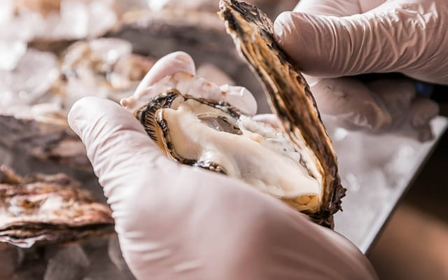 エイス シー オイスターバー　梅田NU茶屋町店