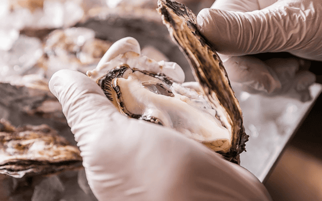 キンカウーカ グリル&オイスターバー　横浜ベイクォーター店