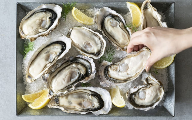 エイス シー オイスターバー　ミント神戸店