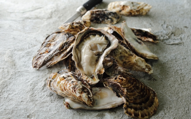 エイス シー オイスターバー　水戸京成店