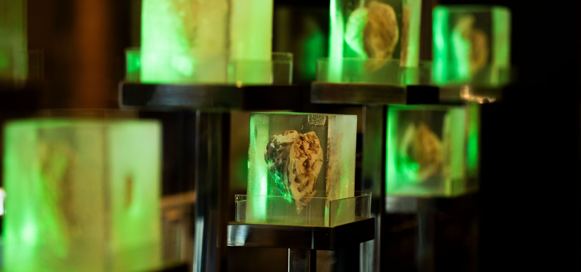 エイス シー オイスターバー　ミント神戸店