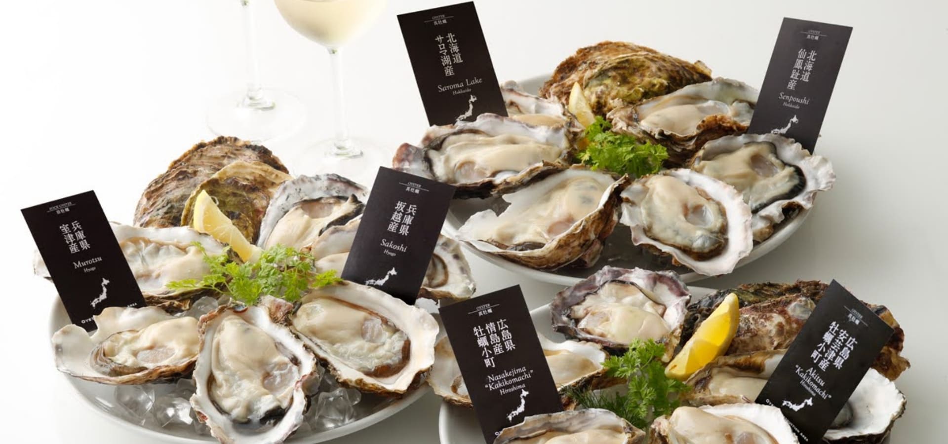 エイス シー オイスターバー　梅田NU茶屋町店