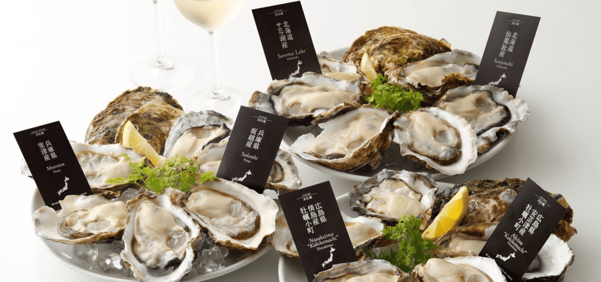 エイス シー オイスターバー　ココノ ススキノ店