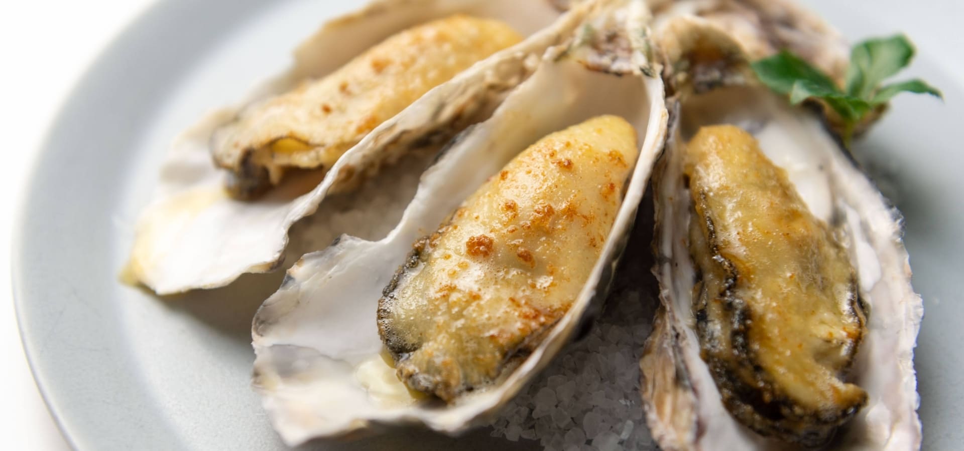 エイス シー オイスターバー　名古屋JRゲートタワー店