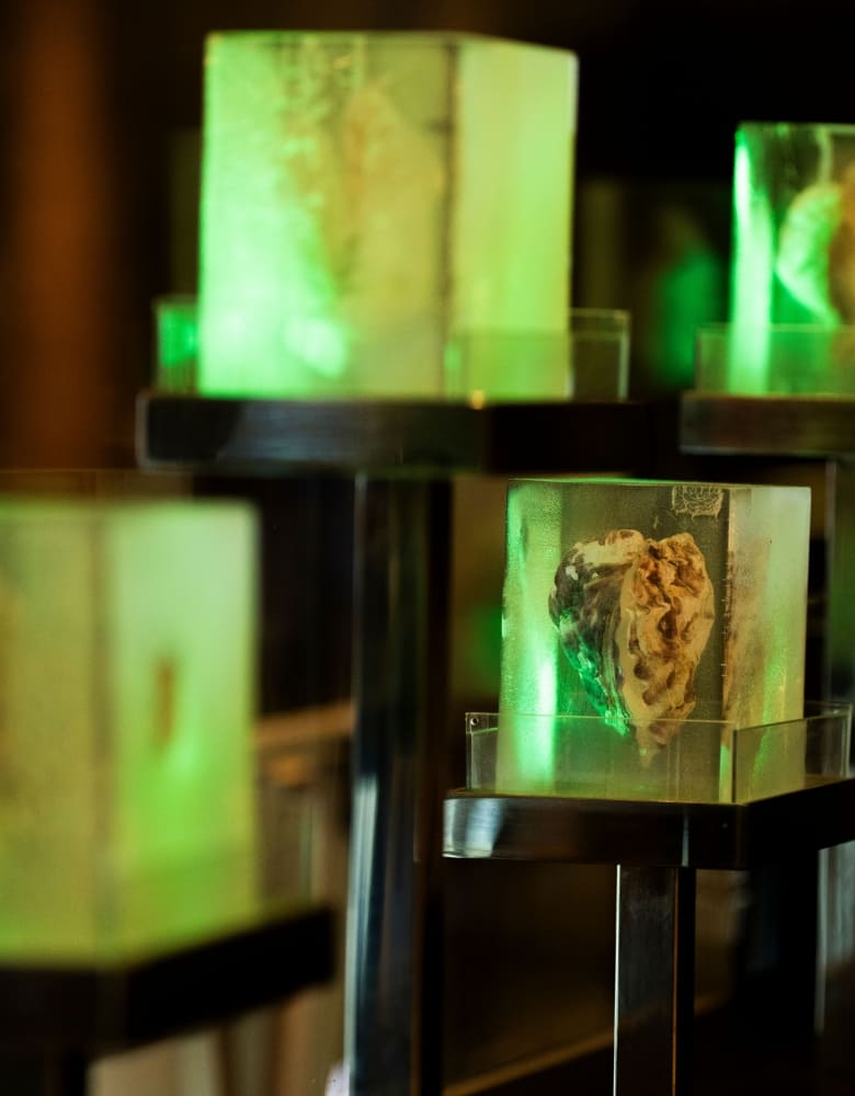 エイス シー オイスターバー　ミント神戸店