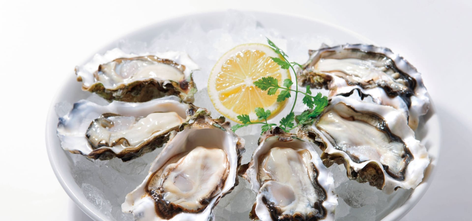 エミット フィッシュバー オイスター&グリル　GINZA SIX店