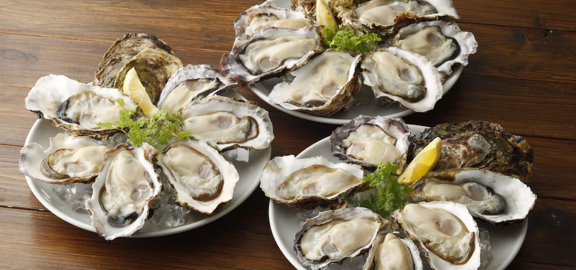 【料理長候補】オイスターバー＆レストラン　阪急グランドビル店