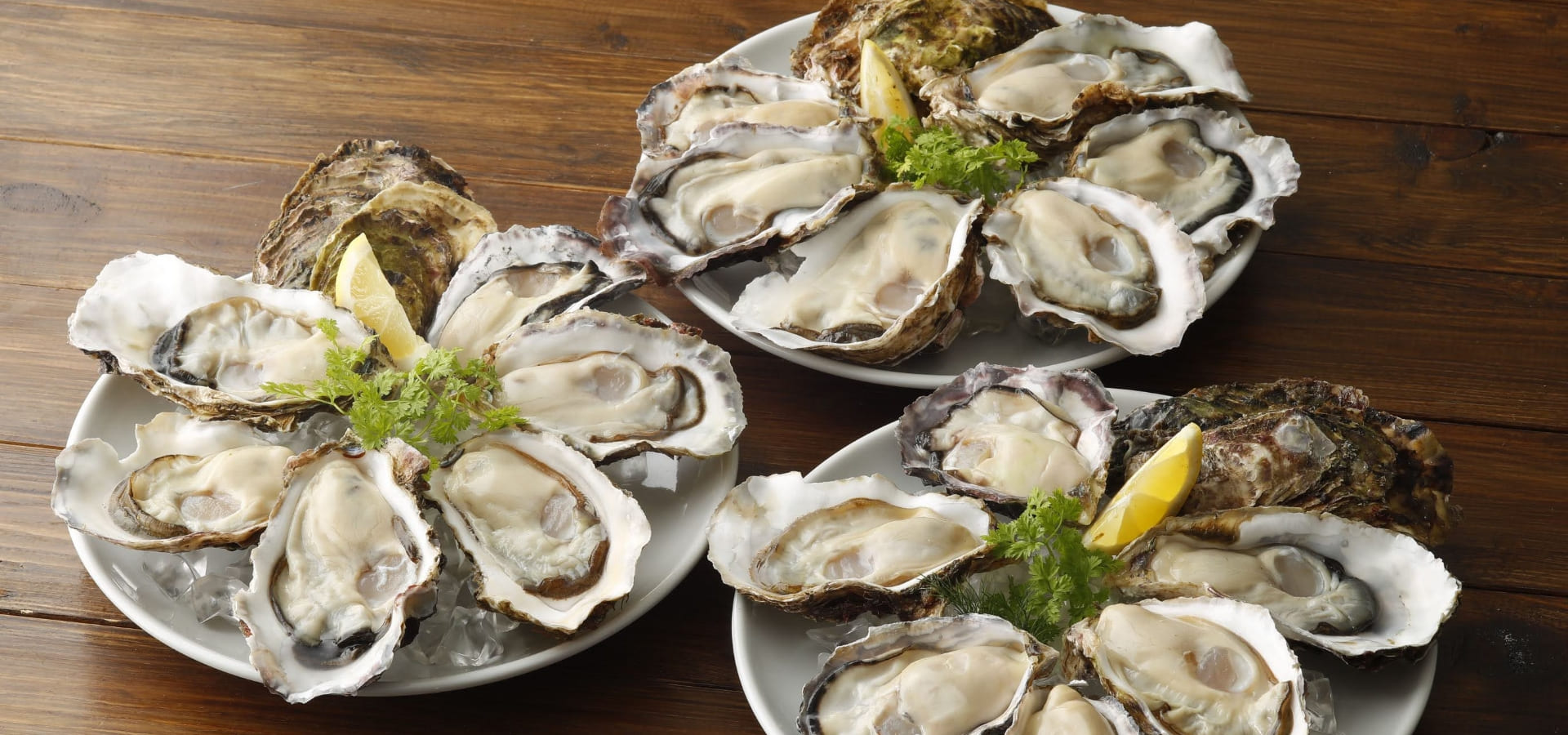 オイスターテーブル 上野さくらテラス店