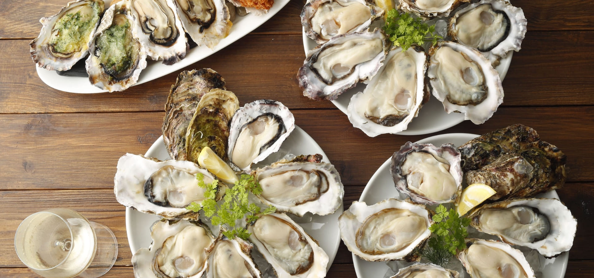 【料理長候補】オイスターバー　ラゾーナ川崎店