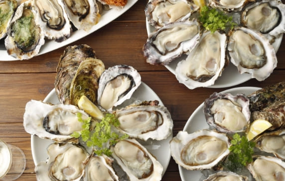 【料理長候補】オイスターバー ＆レストラン　なんばパークス店