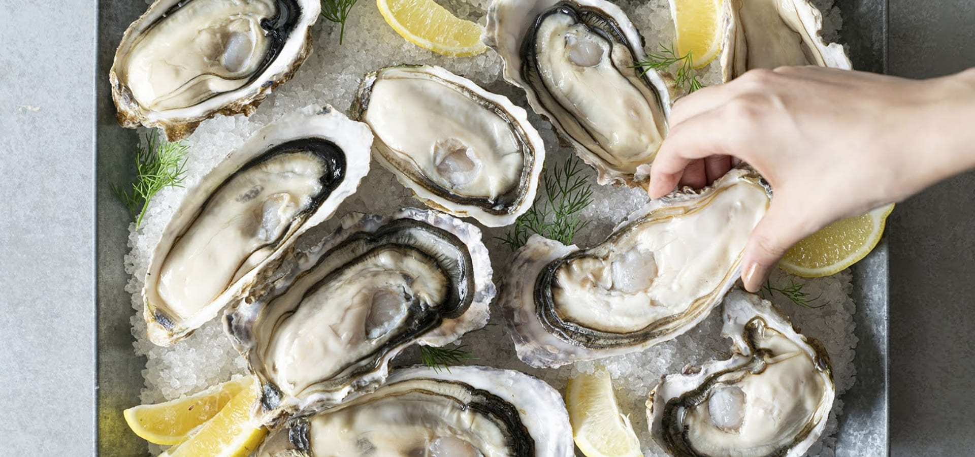 【料理長候補】オイスターバー＆レストラン　渋谷ヒカリエ店